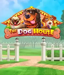 Experience Pragmatic Play's The Dog House adventure, featuring a fun-filled adventure through lovable dogs. Discover features including free spins, designed for providing exciting wins. Ideal for pet lovers a cheerful setting with a chance for big wins.